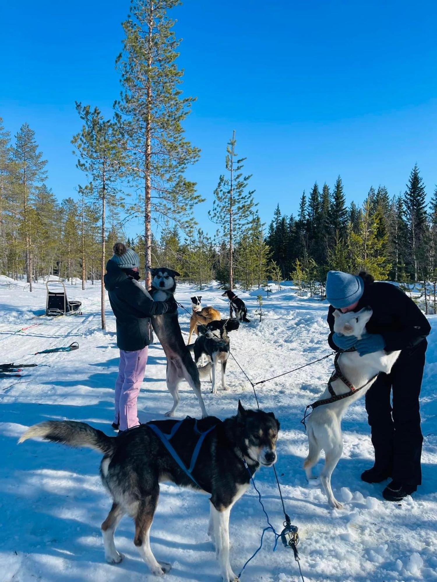 Saeterasen Hytter & Camping Trysil Innbygda ภายนอก รูปภาพ