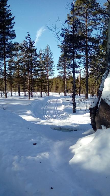 Saeterasen Hytter & Camping Trysil Innbygda ภายนอก รูปภาพ